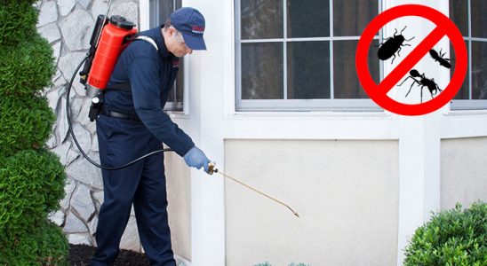 Tuşba Böcek ve Haşere İlaçlama böcek ilaçlama ve haşere kontrolü — ilaclama-tr.com